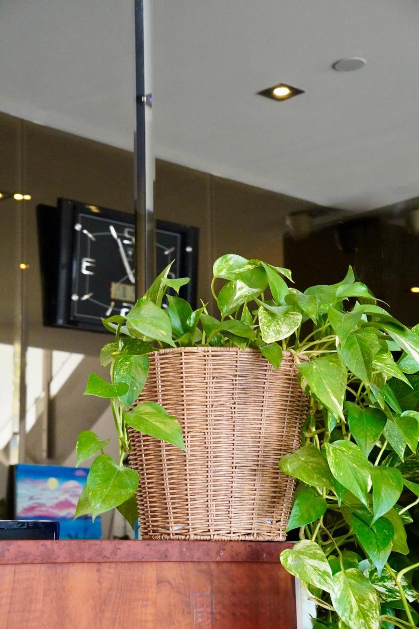 Melbourne Vivo Aparthotel Εξωτερικό φωτογραφία